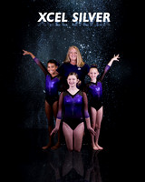 xcelsilvercoach
