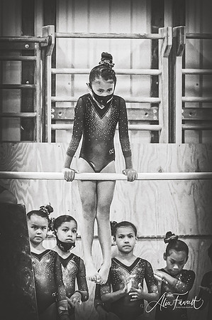 PearlandEliteDQ2021_BW329