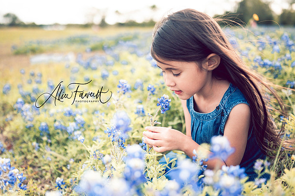 @alicefawcettphotography