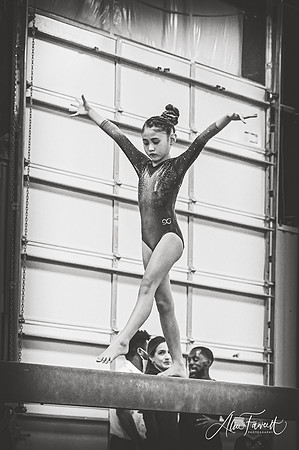 PearlandEliteDQ2021_BW336