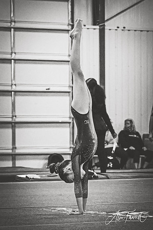PearlandEliteDQ2021_BW308