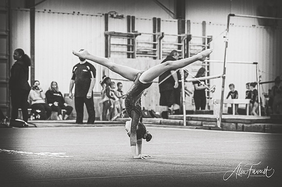PearlandEliteDQ2021_BW312