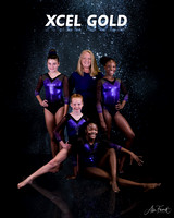 Xcel gold