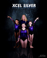 Xcel silver